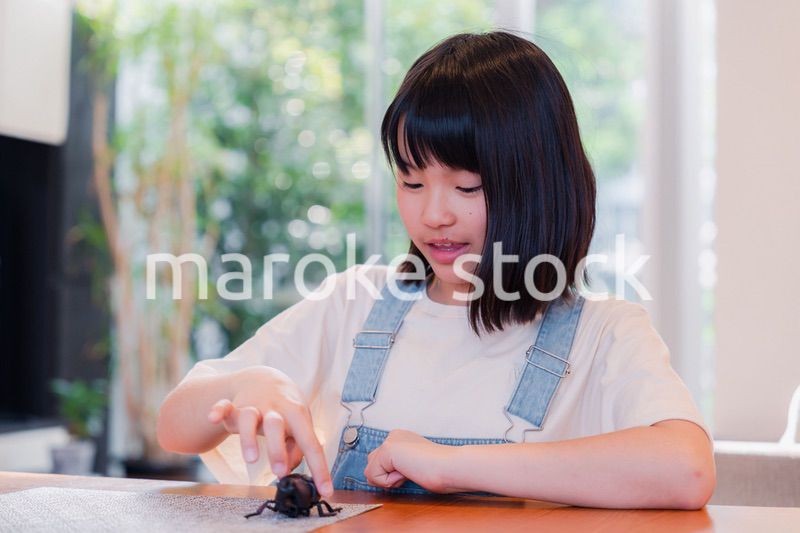 昆虫の観察をする小学生の女の子