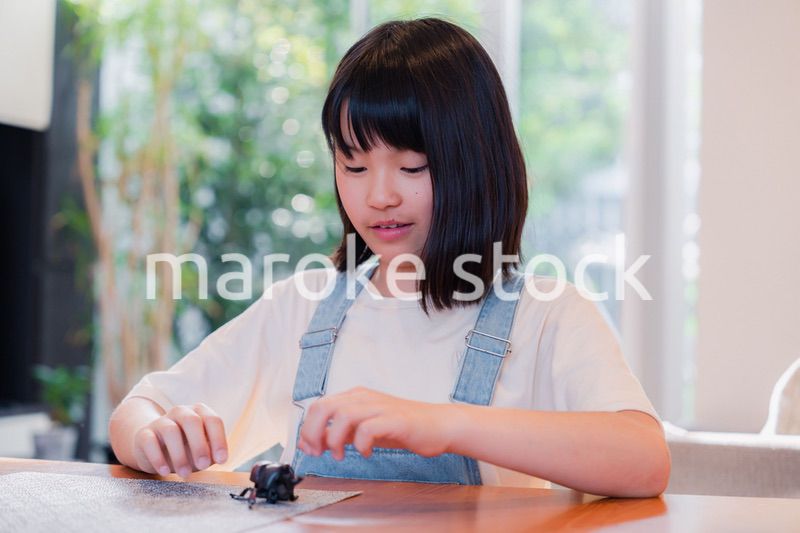 昆虫の観察をする小学生の女の子