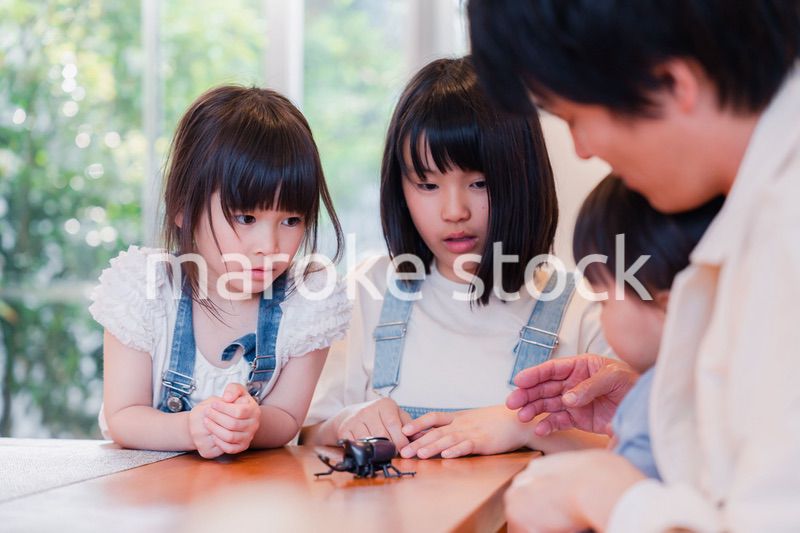 昆虫の観察をする家族