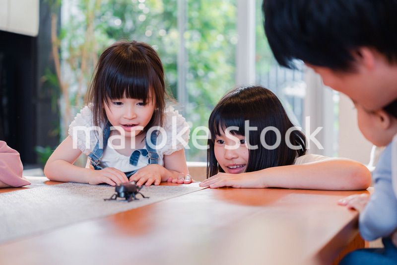 昆虫の観察をする家族