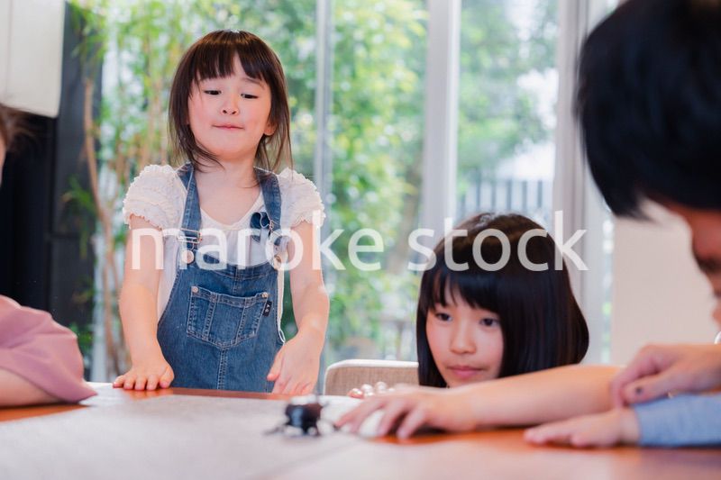 昆虫の観察をする家族