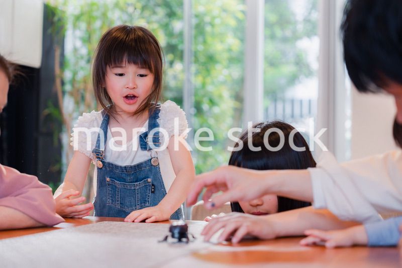 昆虫の観察をする家族