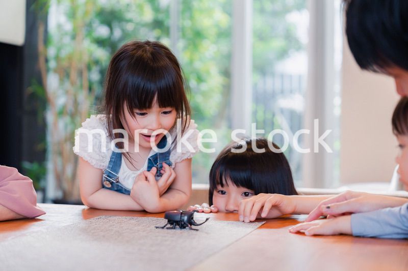 昆虫の観察をする家族