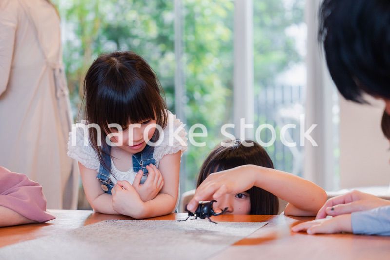 昆虫の観察をする家族