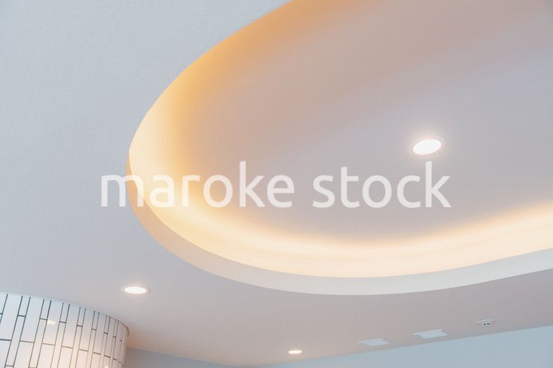 照明がついた折り上げ天井