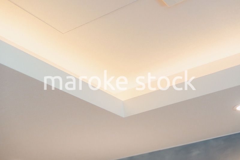 照明がついた折り上げ天井