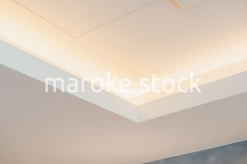 照明がついた折り上げ天井