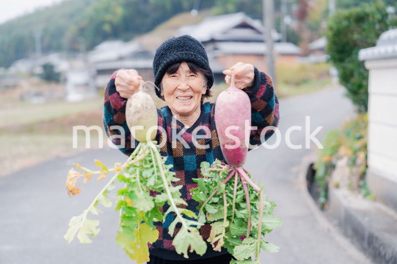 畑で野菜を持つ高齢の女性