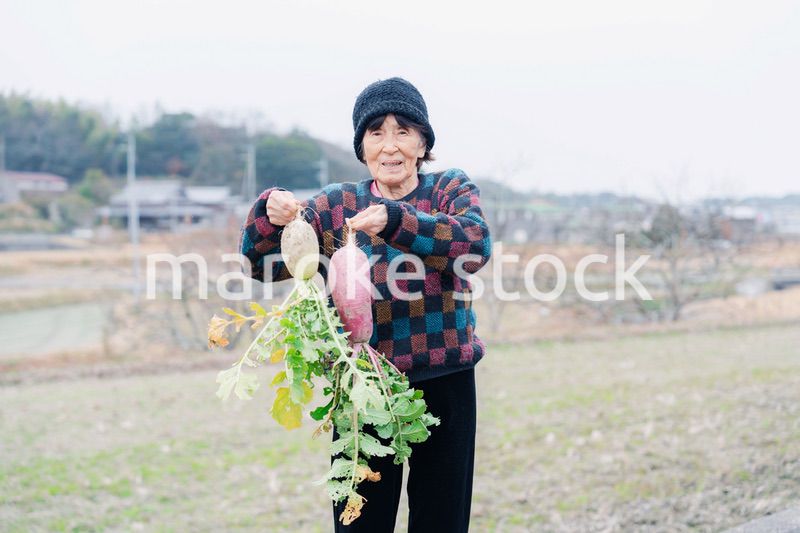 畑で野菜を持つ高齢の女性