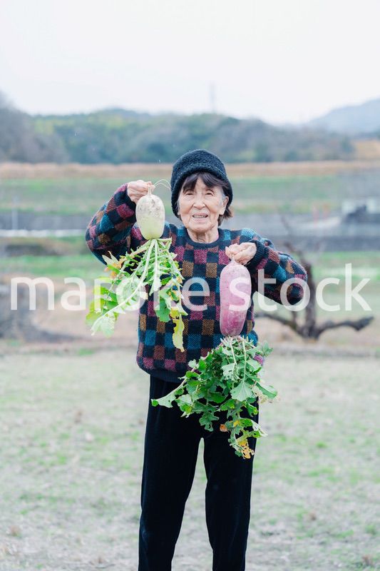 畑で野菜を持つ高齢の女性