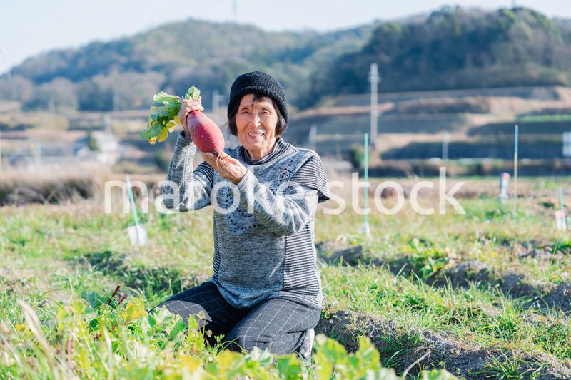 畑で野菜を持つ高齢の女性