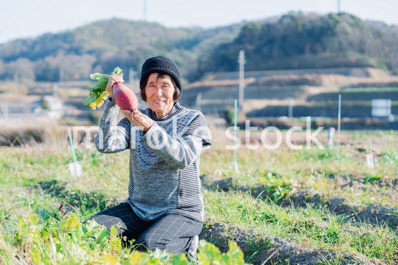 畑で野菜を持つ高齢の女性
