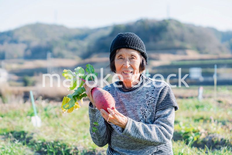 畑で野菜を持つ高齢の女性