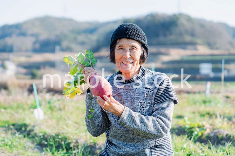 畑で野菜を持つ高齢の女性