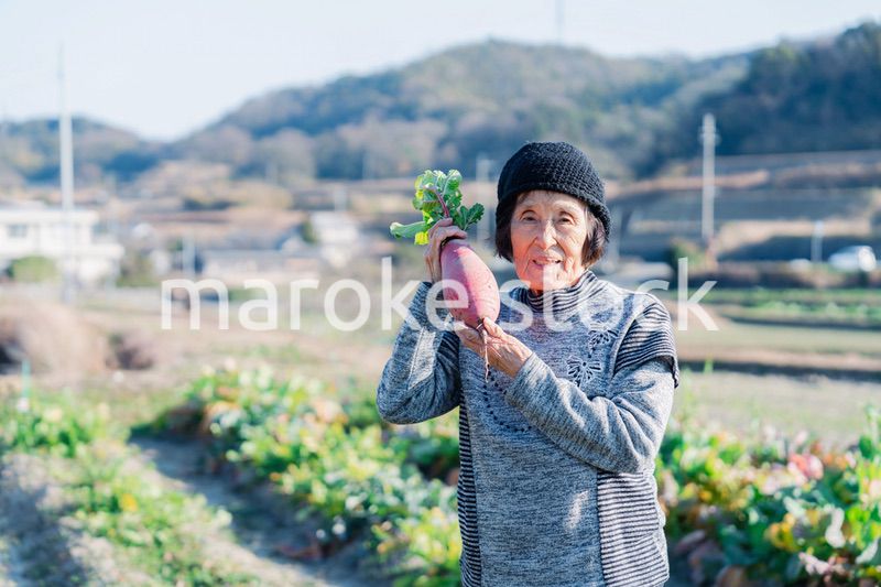 畑で野菜を持つ高齢の女性