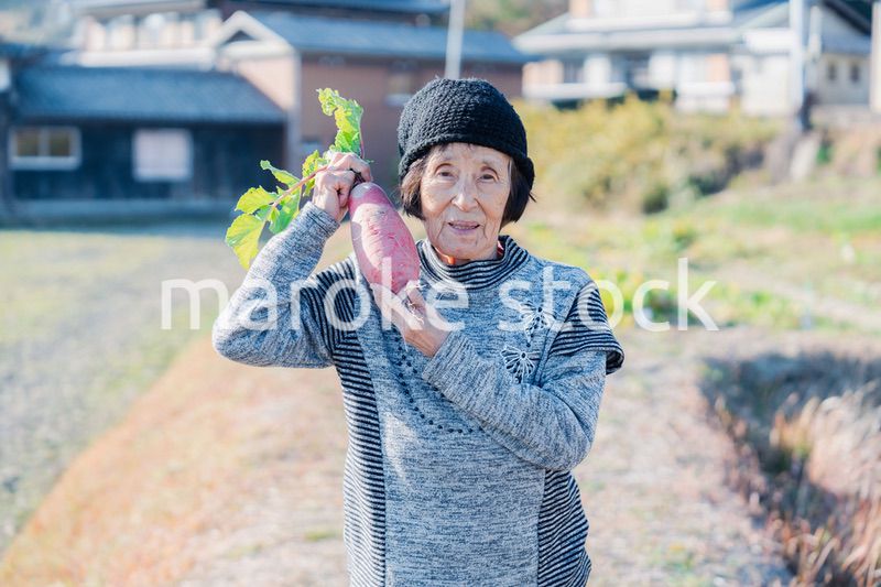 畑で野菜を持つ高齢の女性