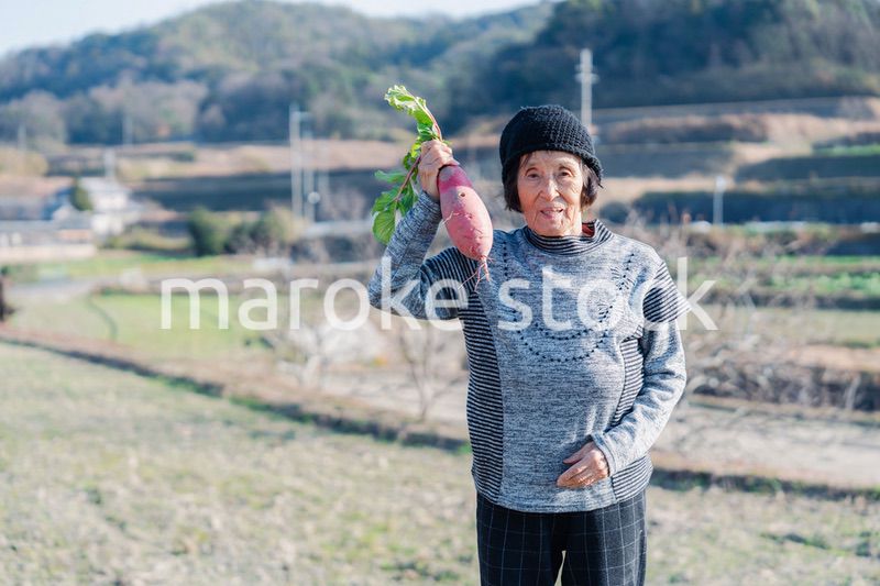 畑で野菜を持つ高齢の女性