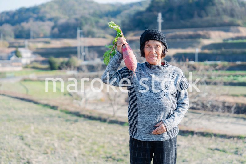 畑で野菜を持つ高齢の女性