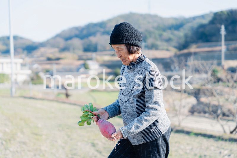 畑で野菜を持つ高齢の女性