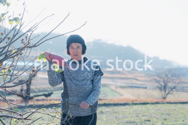 畑で野菜を持つ高齢の女性