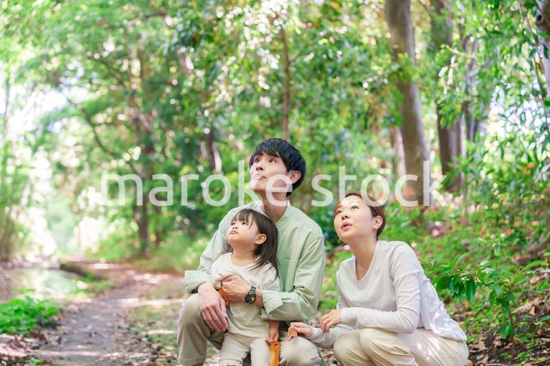 森の中で自然観察をするファミリー