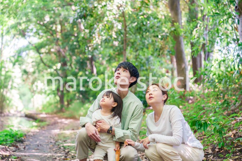 森の中で自然観察をするファミリー