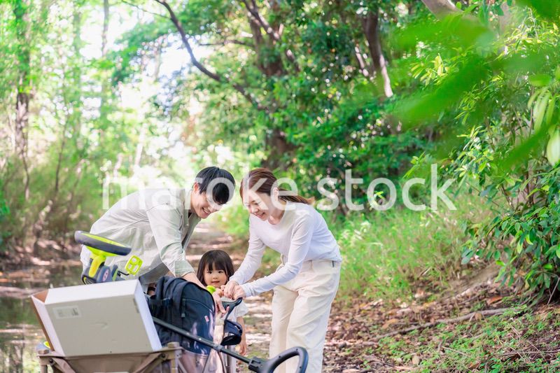 森の中でアウトドアカートを使う家族