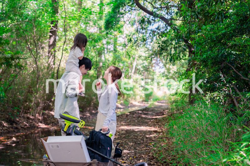 森の中でアウトドアカートを使う家族