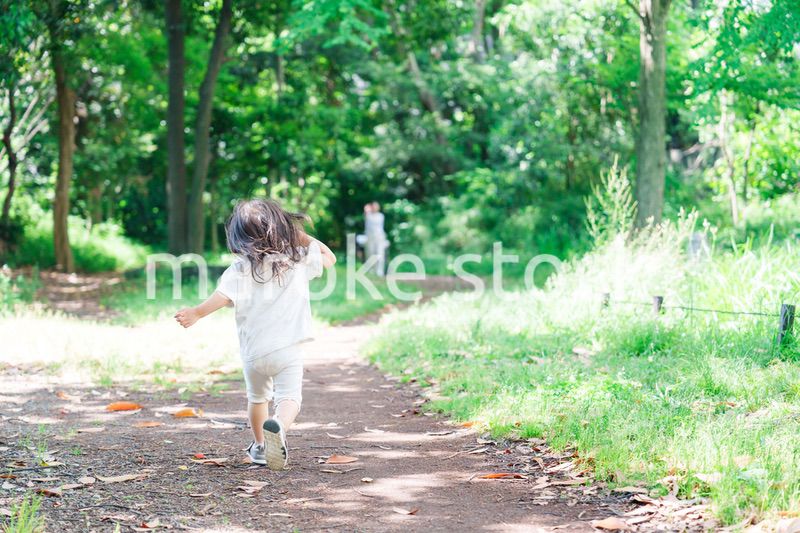 森の中をかける小さな女の子