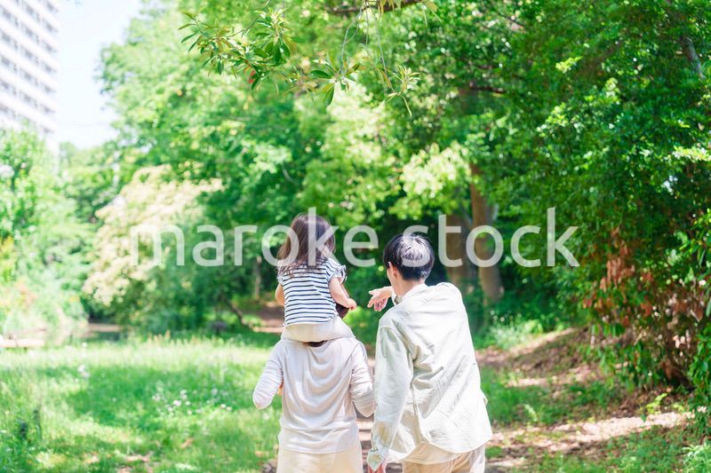 子どもを肩車して森の中を歩く家族