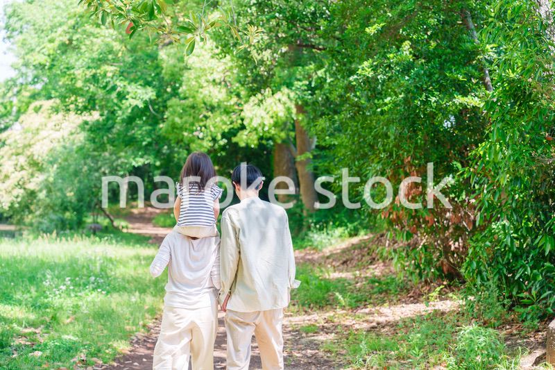 子どもを肩車して森の中を歩く家族