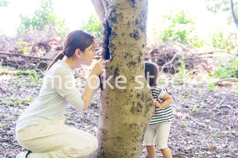 森の中でかくれんぼをするお母さんと子ども