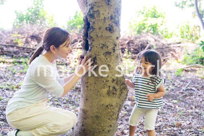 森の中でかくれんぼをするお母さんと子ども