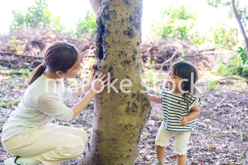 森の中でかくれんぼをするお母さんと子ども