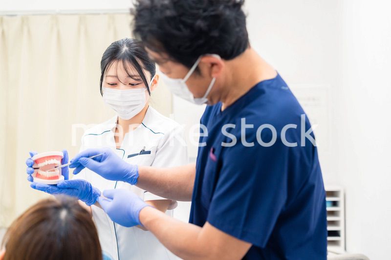 歯の模型を使って歯科治療の説明をする歯医者