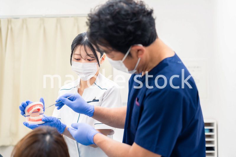歯の模型を使って歯科治療の説明をする歯医者