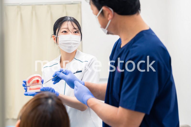歯の模型を使って歯科治療の説明をする歯医者