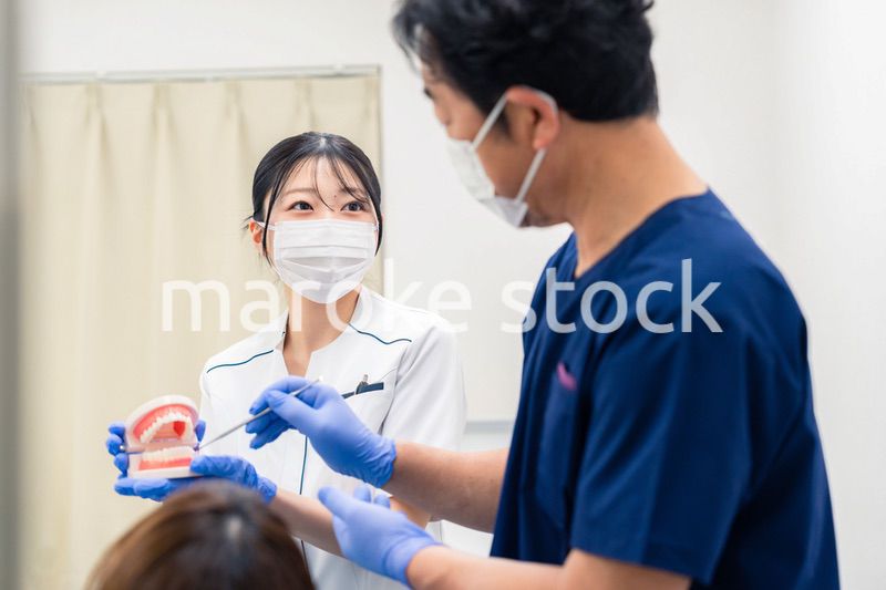 歯の模型を使って歯科治療の説明をする歯医者