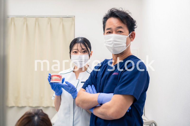 歯の模型を使って歯科治療の説明をする歯医者