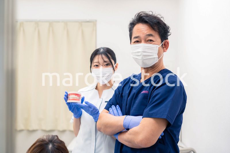歯の模型を使って歯科治療の説明をする歯医者