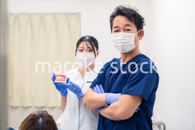 歯の模型を使って歯科治療の説明をする歯医者