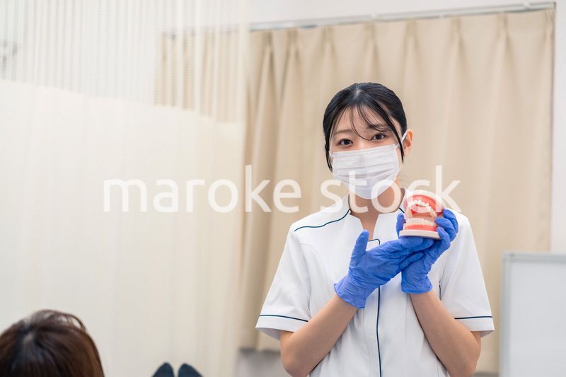 歯の模型を使って患者に説明をする歯科助手の女性