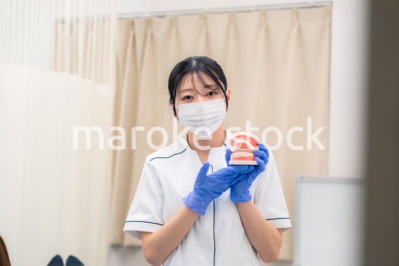 歯の模型を使って患者に説明をする歯科助手の女性