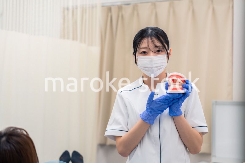 歯の模型を使って患者に説明をする歯科助手の女性