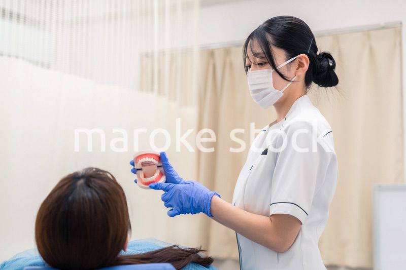 歯の模型を使って患者に説明をする歯科助手の女性
