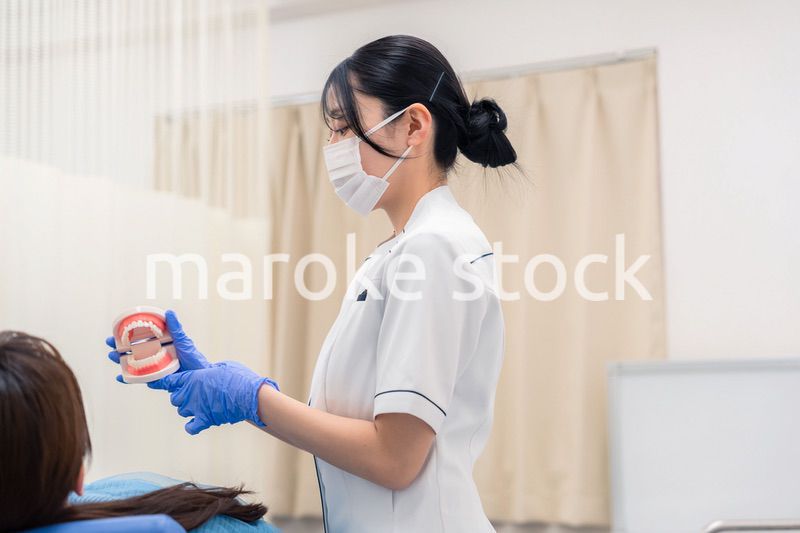 歯の模型を使って患者に説明をする歯科助手の女性