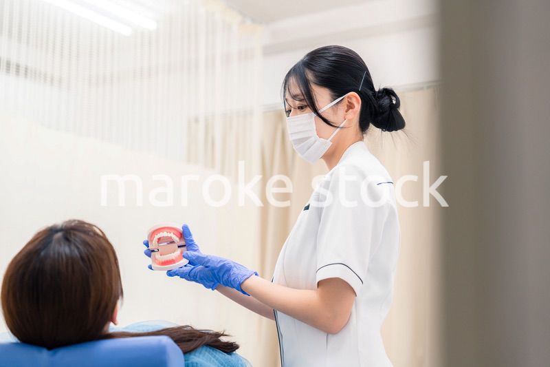 歯の模型を使って患者に説明をする歯科助手の女性