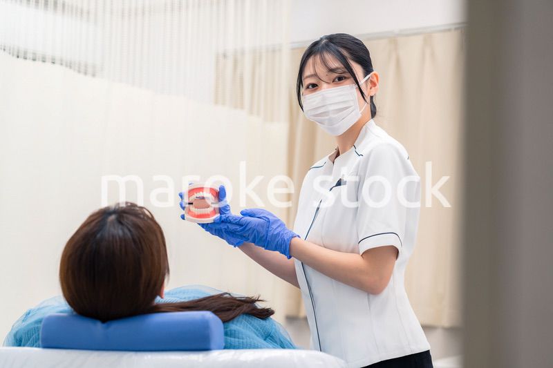 歯の模型を使って患者に説明をする歯科助手の女性