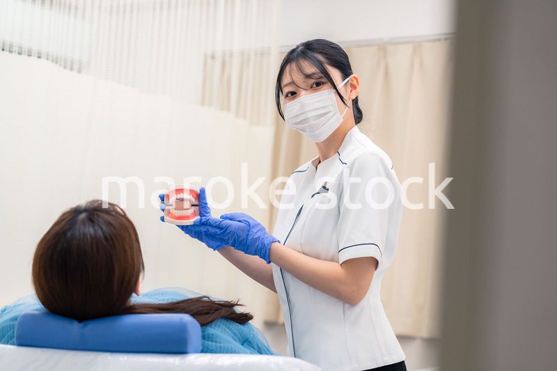 歯の模型を使って患者に説明をする歯科助手の女性