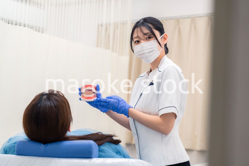 歯の模型を使って患者に説明をする歯科助手の女性